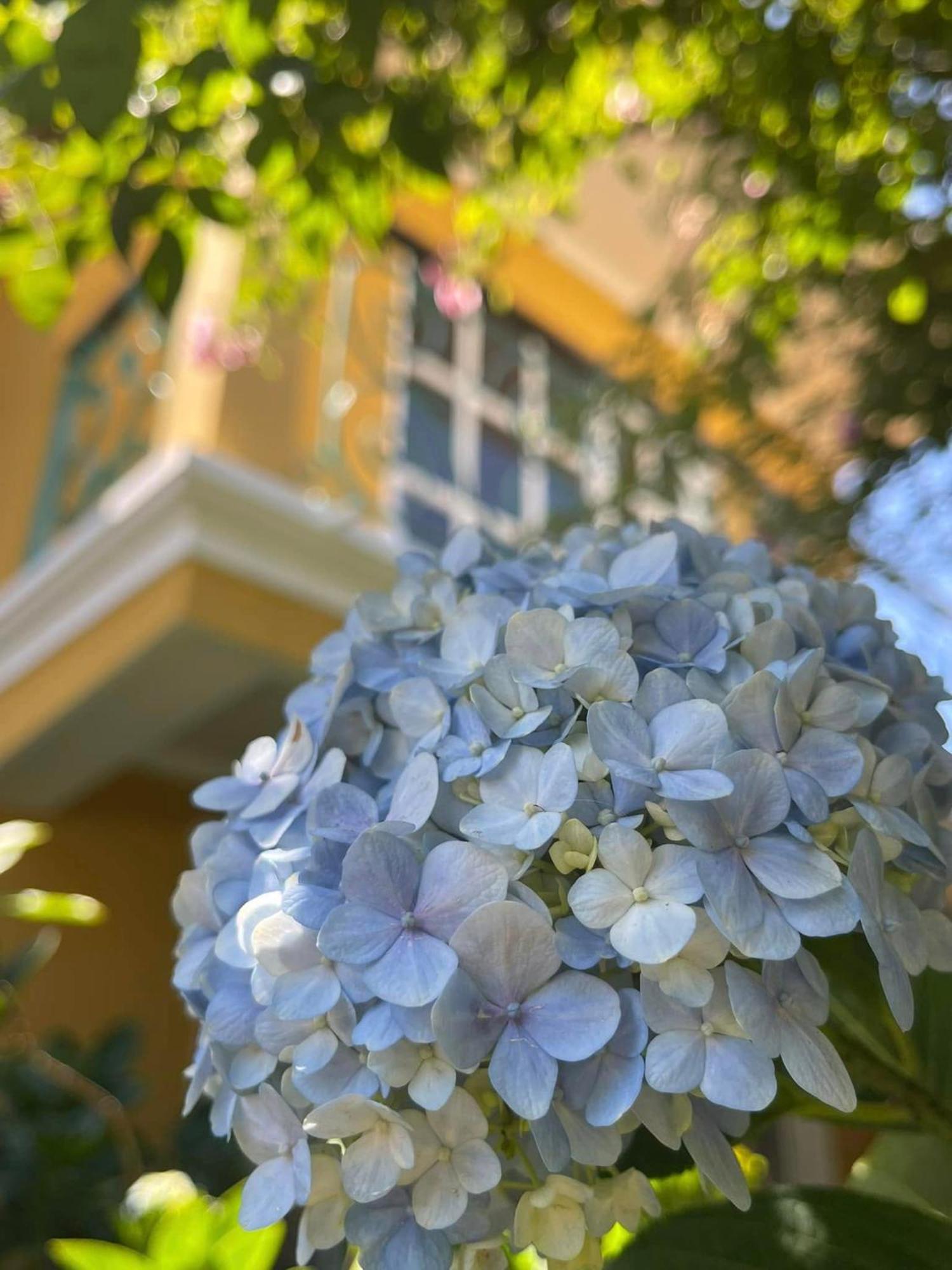 Bich Dao Boutique - Dalat Hotel ภายนอก รูปภาพ